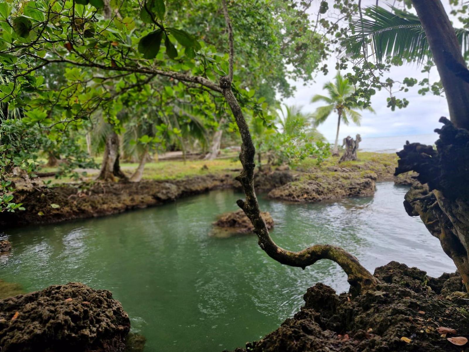 Serenity Houses Cahuita Bagian luar foto